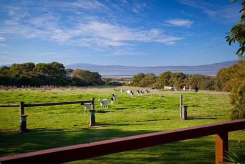 Coastal View Cabins - Tourism Noosa 9