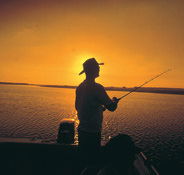 Point Stuart Wilderness Lodge - Tourism Noosa