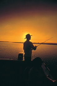 Point Stuart Wilderness Lodge - Tourism Noosa 0