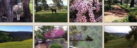 Moondyne Country Convention Centre - Tourism Noosa 3