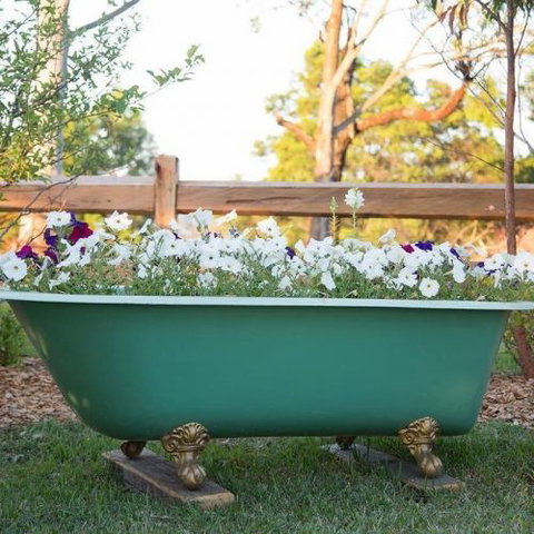 Milton Country Retreat - Tourism Noosa 4