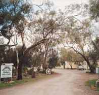 Beautiful Valley Caravan Park Cabins - Tourism Noosa