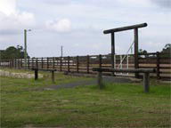Mt White Lodge - Tourism Noosa 2
