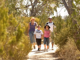  Tourism Noosa