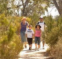Pepper Tree Cottage - Tourism Noosa