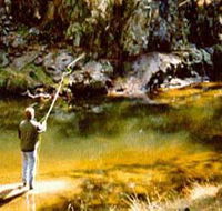 Markdale Homestead - Tourism Noosa