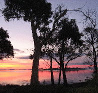 Abs By The Bay - Tourism Noosa