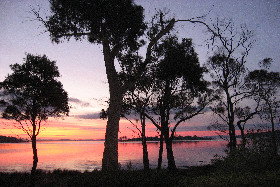 Abs By The Bay - Tourism Noosa 0