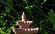 Ninderry Manor Luxury Retreat - thumb 14