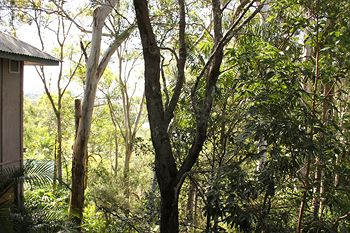 Arabella Guesthouse - Tourism Noosa 18