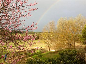 Australian Home Away @ Wonga Park Brushy Creek - Tourism Noosa 9