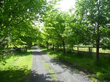 Australian Home Away @ Wonga Park Brushy Creek - Tourism Noosa 10