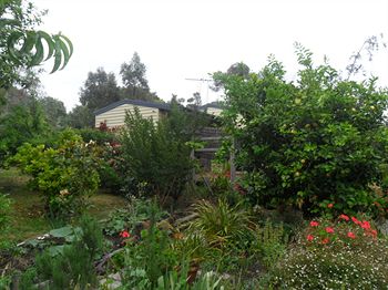 Australian Home Away @ Wonga Park Brushy Creek - Tourism Noosa 14