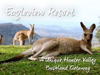 Eagleview Resort - Tourism Noosa 45