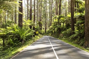 Vibe Hotel Marysville - Tourism Noosa 19