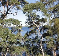 The Edgewater Bed amp Breakfast - Tourism Noosa