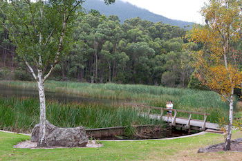 BIG4 Yarra Valley Holiday Park - Tourism Noosa 12