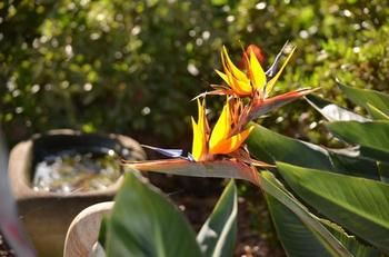 Morpeth Lodge Motel - Tourism Noosa 3