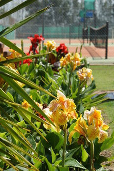 Morpeth Lodge Motel - Tourism Noosa 11