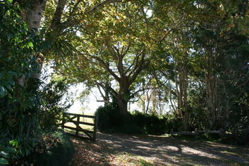 Maleny Mountain Retreat - Tourism Noosa 2