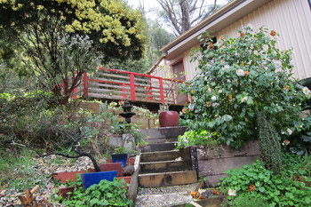 Cherryblossom B&B - Tourism Noosa 12