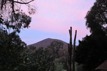 Cherryblossom B&B - Tourism Noosa 35