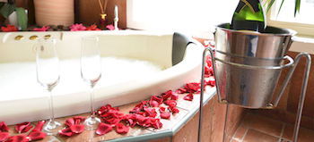 Lakeside Cottage - Tourism Noosa 9