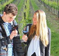 Valley Farm Vineyard Cottages - Tourism Noosa