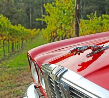 Valley Farm Vineyard Cottages - Tourism Noosa 1
