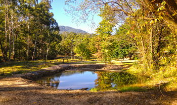 Valley Farm Vineyard Cottages - Tourism Noosa 3