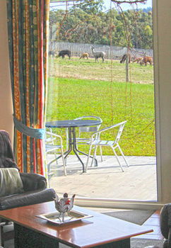 Valley Farm Vineyard Cottages - Tourism Noosa 9