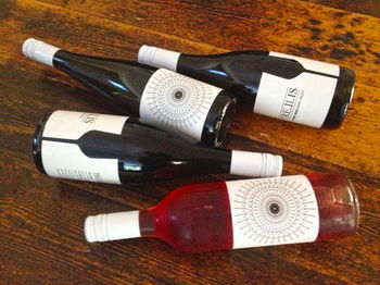 Valley Farm Vineyard Cottages - Tourism Noosa 15