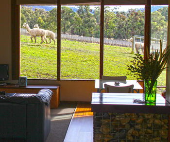 Valley Farm Vineyard Cottages - Tourism Noosa 17