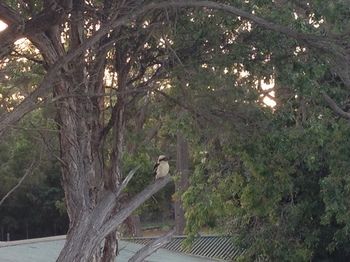 Huskisson Beach Bed And Breakfast - Tourism Noosa 7