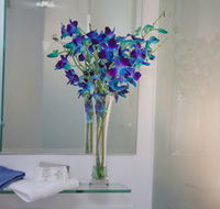 Grand Hotel Wyong - Tourism Noosa