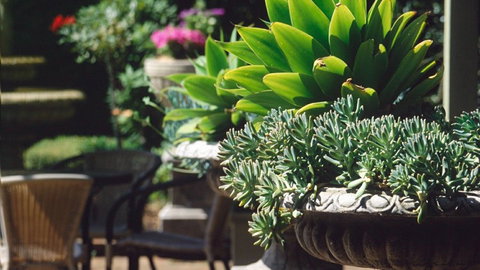 Best Western Plus The Tudor Box Hill - Tourism Noosa 2