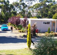 Barilla Holiday Park - Tourism Noosa