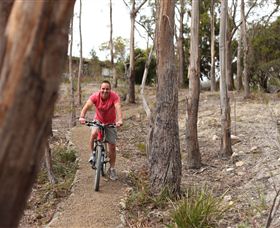 Tranquil Point Retreat - Tourism Noosa 1