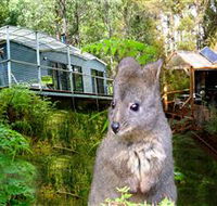 Huon Bush Retreats - Tourism Noosa