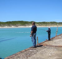 Three Hummock Island Accommodation - Tourism Noosa