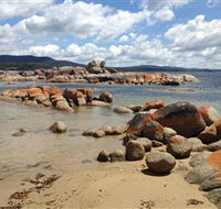 Lake Eckersley campground - Tourism Noosa