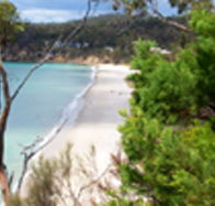 Weilangta Holiday Home - Tourism Noosa
