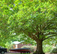 Lakes and Craters Holiday Park - Tourism Noosa