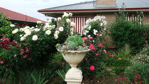 Admurraya House Bed And Breakfast - Tourism Noosa 5