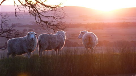 Tuki Trout Farm And Retreat - Tourism Noosa 4