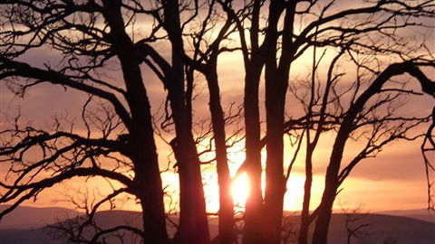 Tuki Trout Farm And Retreat - Tourism Noosa 5