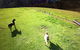 Farm Accommodation - thumb 4