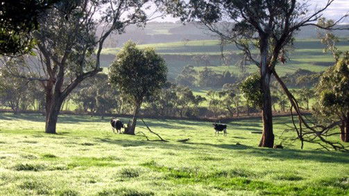 Scotts Creek ACT Tourism Noosa