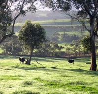 Bellevue Farmstay - Tourism Noosa