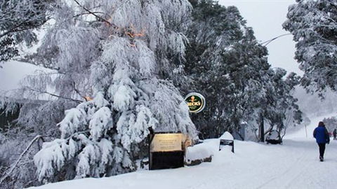 Feathertop Alpine Lodge - Tourism Noosa 0